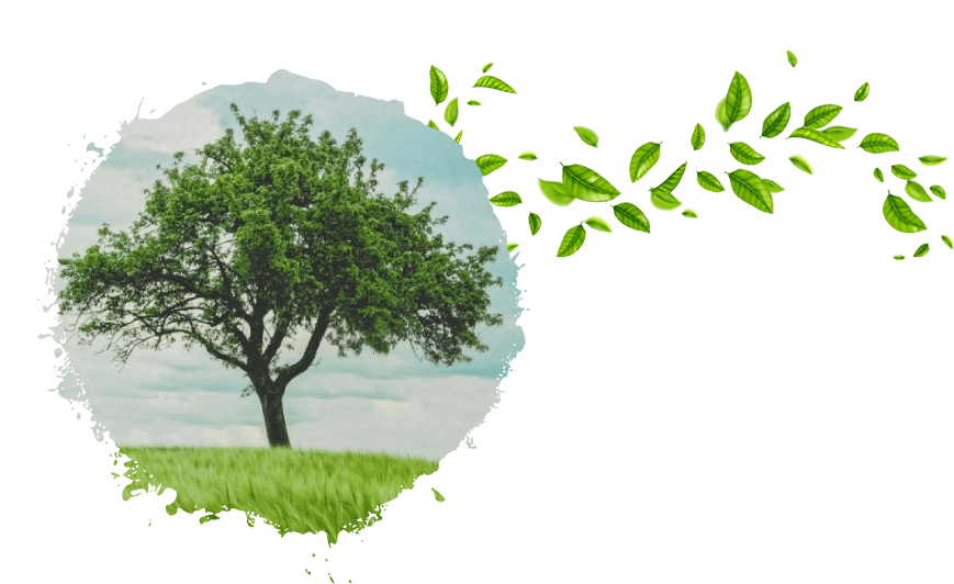 Grüner Baum mit Blättern
