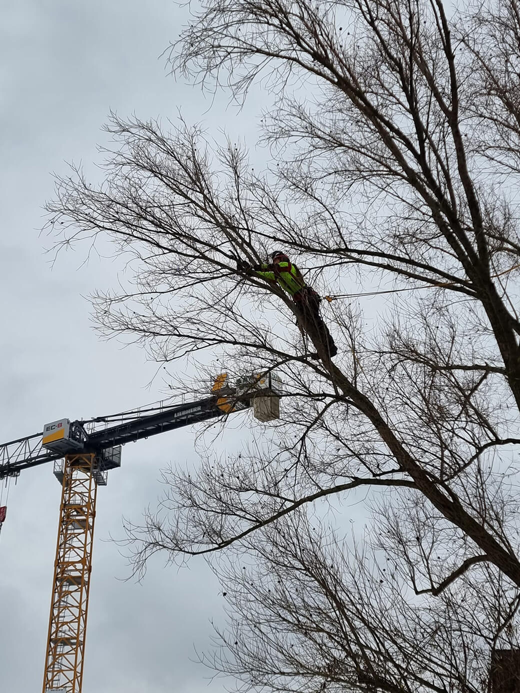 dec54214-b9c5-4490-a777-2d4d282c30a8