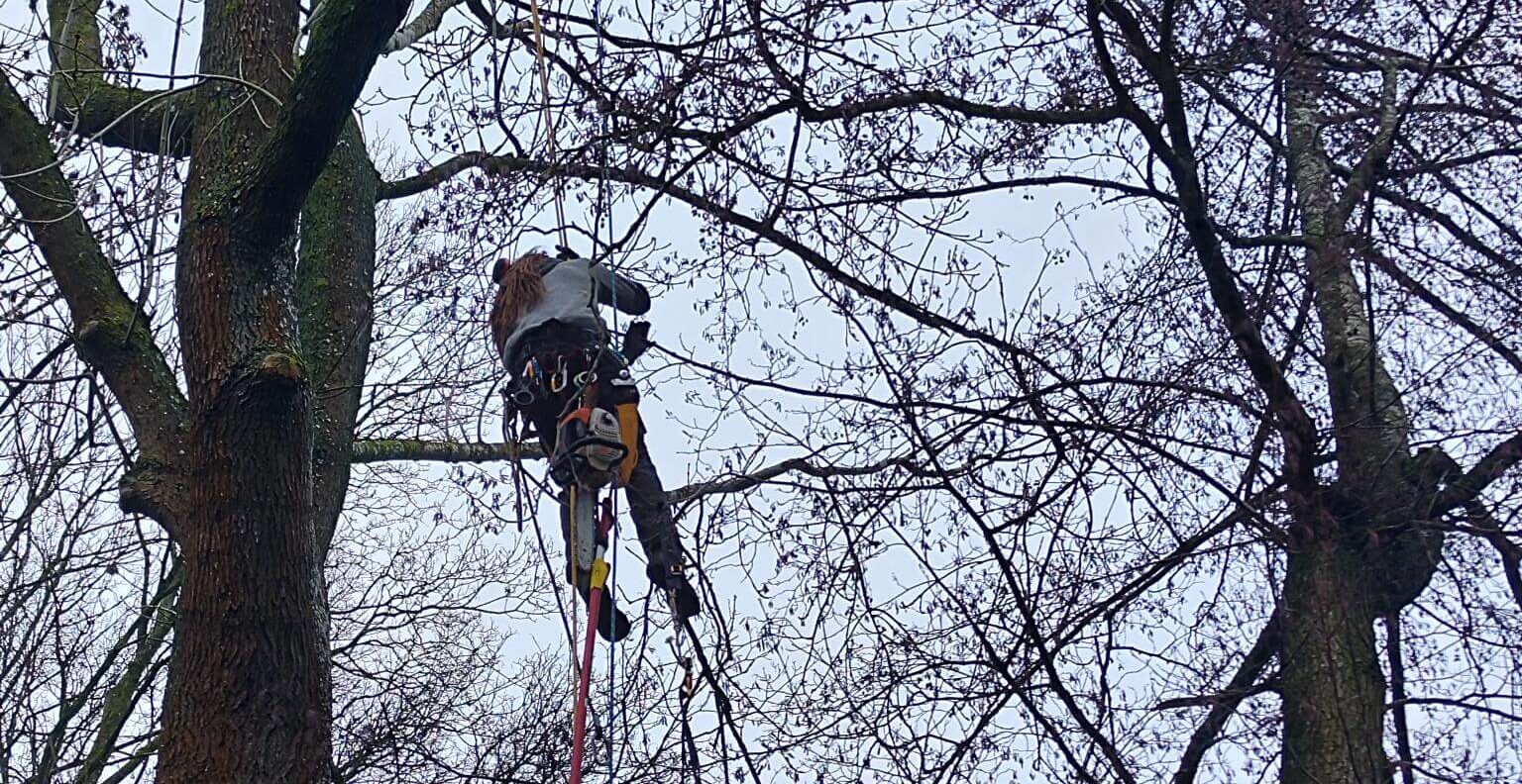 signal-2025-02-16-16-19-57-726-5-1